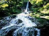 Sinterterrassen an Wasserfällen (Uracher Wasserfälle)