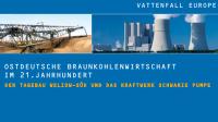 Ostdeutsche Braunkohlenwirtschaft im 21. Jahrhundert. Der Tagebau Welzow-Süd und das Kraftwerk Schwarze Pumpe