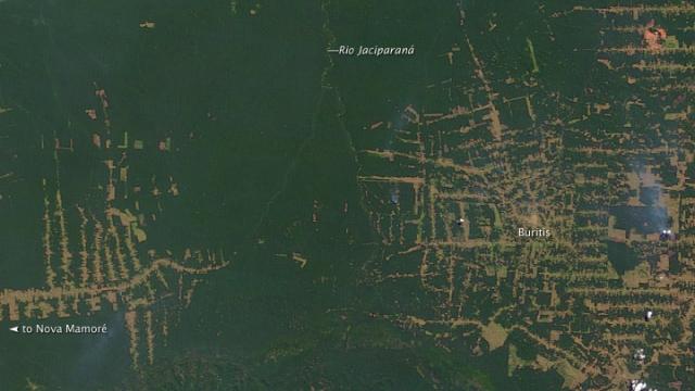 Abholzung im Amazonasgebiet, Rondonia, Brasilien Bild: Abholzung im Amazonasgebiet, Rondonia, Brasilien