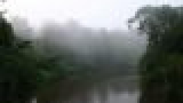 Tropical rainforests – the Earth’s air conditioner Bild: Tropical rainforests – the Earth’s air conditioner