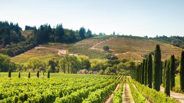 Verleihmedium Landwirtschaft in Kalifornien – Agriculture in California Vorschaubild