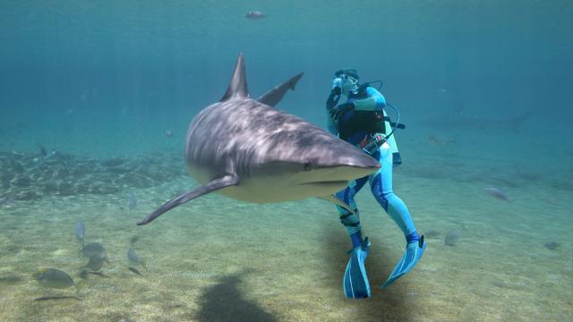 Verleihmedium Fortbewegung im Wasser Vorschaubild