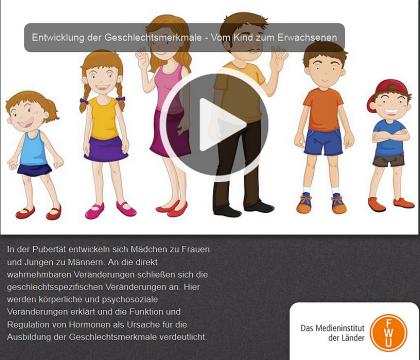 Verleihmedium Entwicklung der Geschlechtsmerkmale Vorschaubild