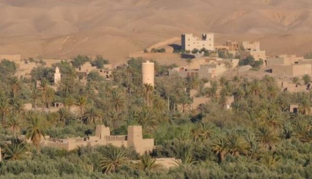 Verleihmedium Die Oasen – Grüne Inseln in der Wüste [Interaktiv] Vorschaubild