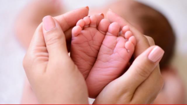 Verleihmedium Der Tastsinn des Menschen [interaktiv] Vorschaubild