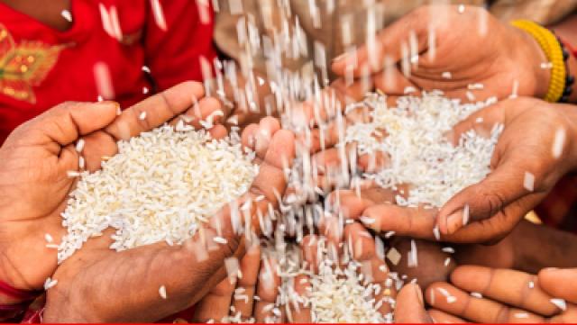 Verleihmedium Welternährung – Genug Nahrung für alle? (interaktiv) Vorschaubild