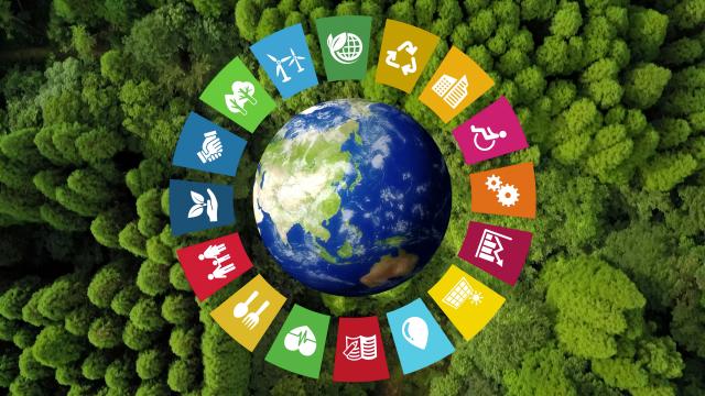 Verleihmedium 17 globale Ziele für eine nachhaltige Entwicklung (interaktiv) Vorschaubild