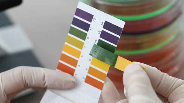 Verleihmedium Säuren und Basen – pH-Wert, Neutralisation und Ampholyte (Interaktiv) Vorschaubild