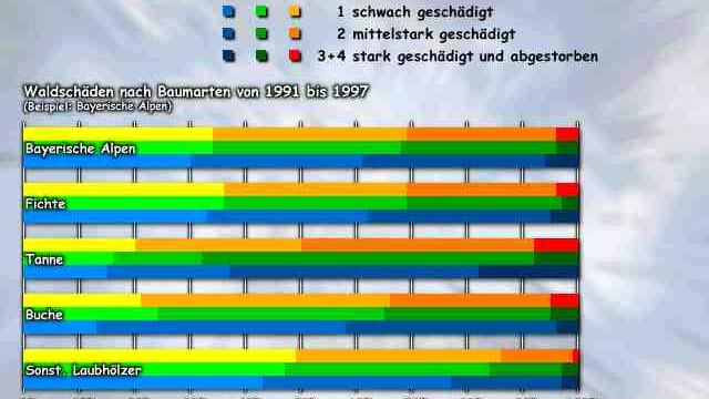 Waldschäden nach Baumarten Bild: Waldschäden nach Baumarten